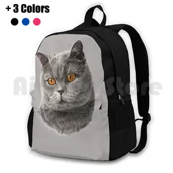 Британская короткошерстная кошка, походный рюкзак, спортивная сумка для верховой езды, скалолазания, кошка, любитель кошек, Британские короткошерстные дети, питомники, домашние животные